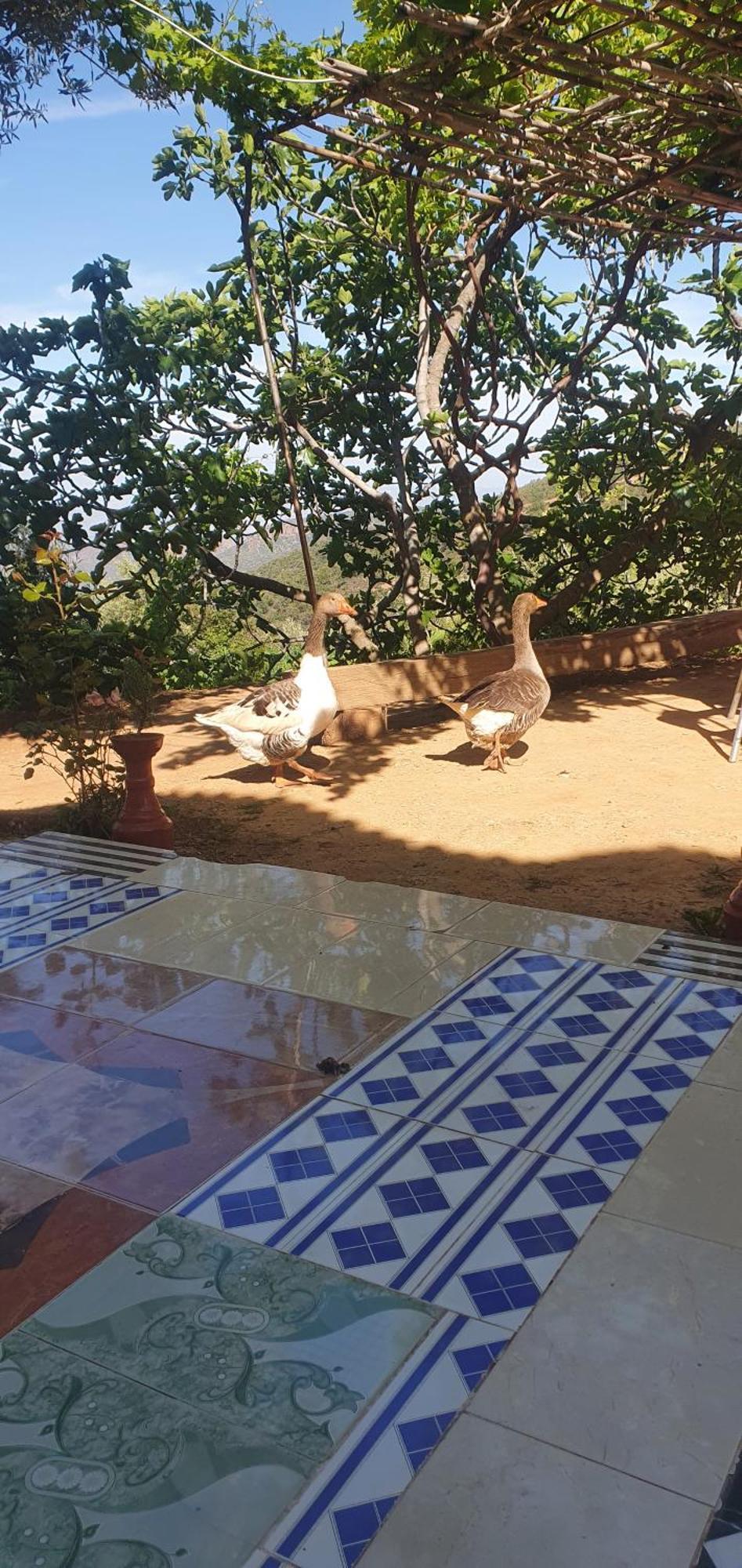 دار الضيافة تازكة Maison D'Hotes Tazekka Taza Exterior foto